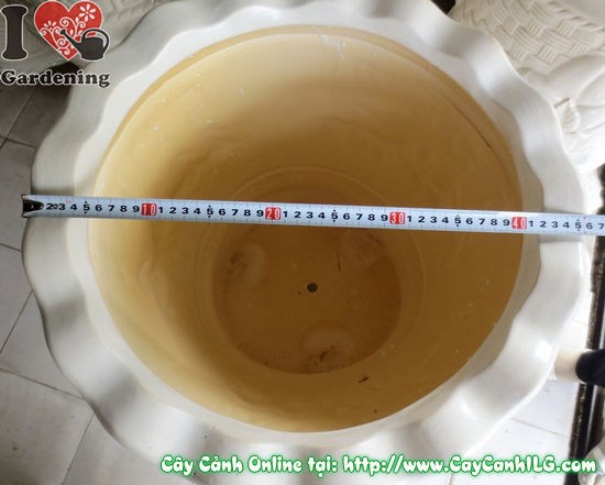 Chậu ba chân men trắng tròn mã đáo thành công - chi tiết ba chân và hoa văn