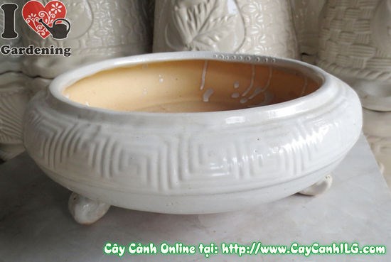 Chậu bonsai men trắng tròn cao 12cm - góc chụp chi tiết 1