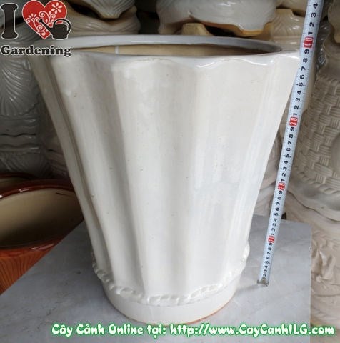 Chậu khế men trắng tròn – chi tiết lớp men bóng