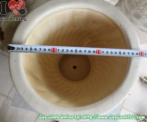 Chậu Ly Men Trắng Tròn Mẫu 1 (Cao: 32cm – Ms: 04935)