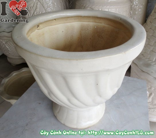 Hướng dẫn chọn kích thước chậu ly men trắng phù hợp