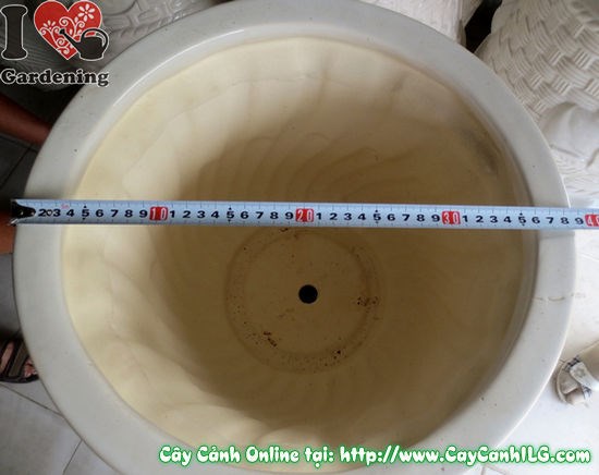 Chậu Ly Men Trắng Tròn Mẫu 1 cao 43cm - hướng dẫn sử dụng bảo quản