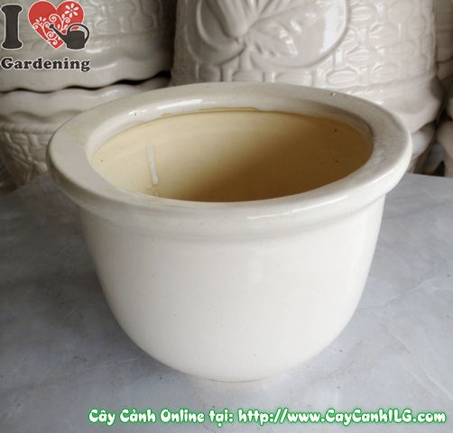 Chậu men trắng tròn thấp mẫu 3 cao 12cm - hình ảnh thực tế góc chụp 3