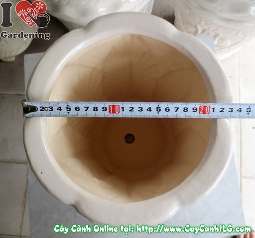 Chậu trúc men trắng tròn túm đáy mẫu 1 - hình ảnh chi tiết