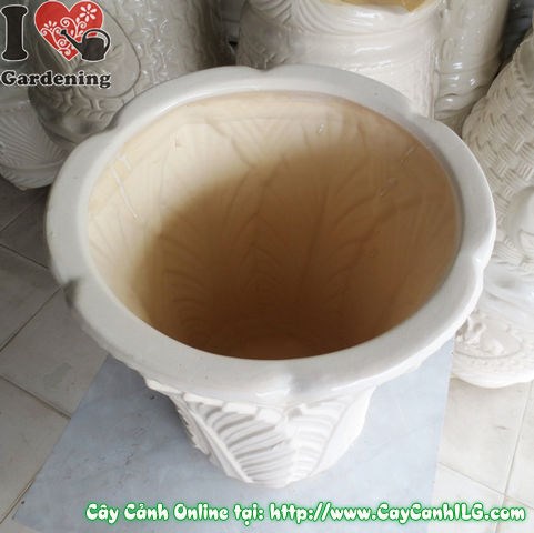 Chậu trúc men trắng túm đáy mẫu 1 - phù hợp trồng nhiều loại cây