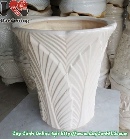 Chậu trúc men trắng tròn túm đáy - bảo quản đúng cách luôn đẹp bền