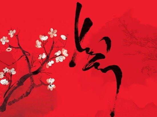 Dịch vụ cho thuê cây cảnh Tết ILG – trang hoàng năm mới