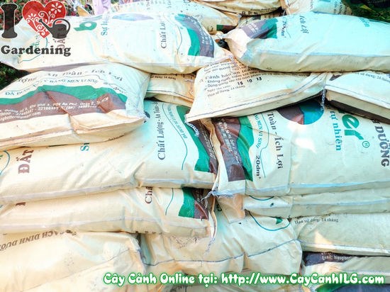 Đất sạch bao 50 dm3 cung cấp sỉ cho dự án cảnh quan - ILG