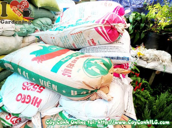 Đất trộn bao 50 dm3 – giá thể trồng cây hoa cảnh ILG