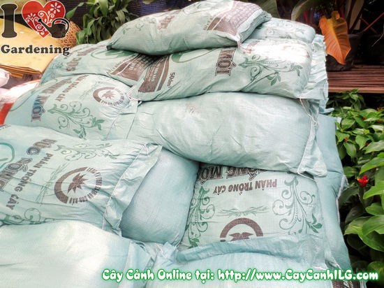 Đất trộn bao 50 dm3 thành phần xơ dừa vỏ trấu đất mùn – ILG
