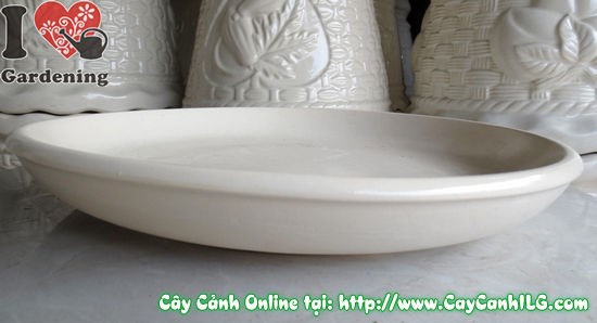 Dĩa lót men trắng ứng dụng trong không gian cảnh quan công trình