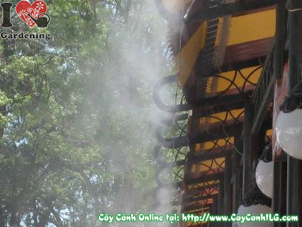 Hệ thống phun sương làm mát cho quán cà phê sân vườn