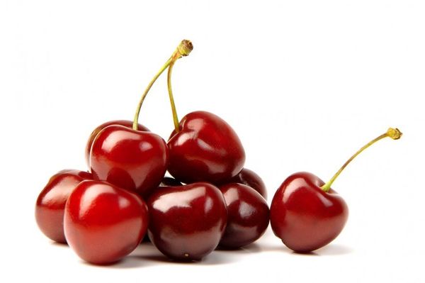 Cherry chủng Skeena