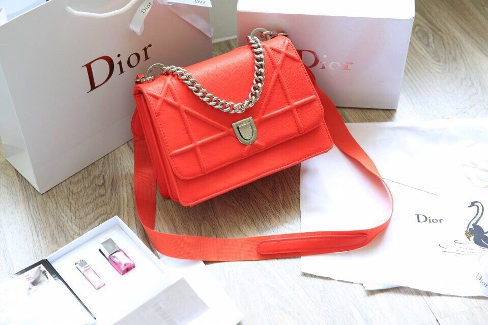 Túi xách Diorama Satchel hàng chuẩn F1