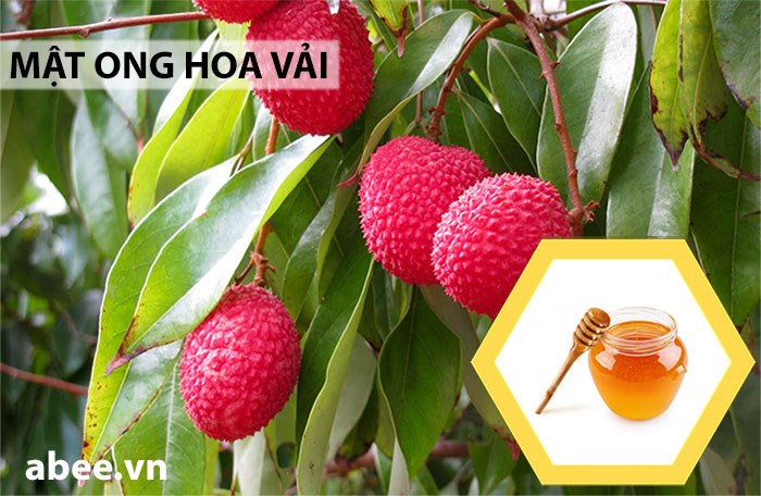 mat-ong-hoa-vai-abee