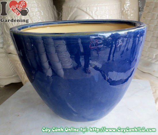 Chậu bầu dục men xanh dương cao 25cm Ms 04842 toàn cảnh