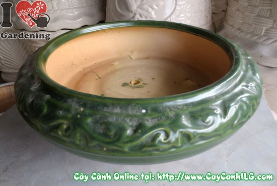 Chậu bonsai men xanh lục tròn – góc nhìn tổng thể