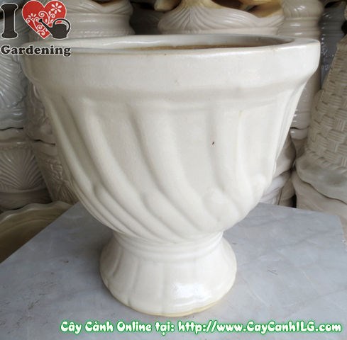 Ứng dụng chậu ly men trắng trong không gian thực tế