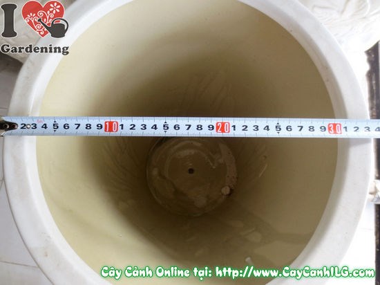 Chậu men trắng tròn nhẵn Ms 04905 – chụp toàn cảnh, so sánh tỷ lệ