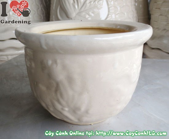 Chậu men trắng tròn thấp mẫu 1 cao 12cm Ms 04908 – ILG