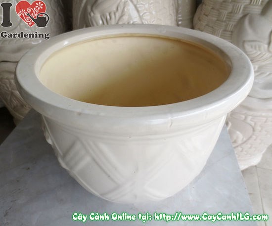Chậu men trắng tròn thấp mẫu 2 cao 22cm chi tiết đáy và thân