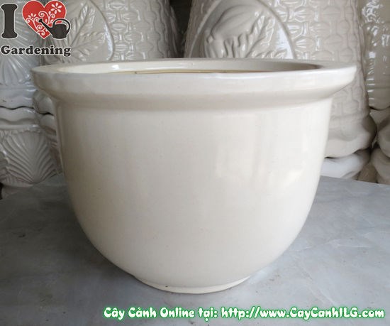 Chậu men trắng tròn thấp mẫu 3 cao 16cm - ưu điểm nổi bật