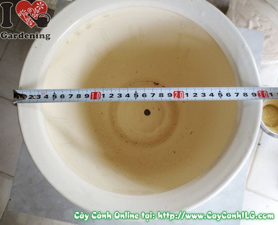 Chậu men trắng tròn thấp mẫu 3 cao 22cm Ms 04925 - ILG