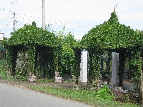 Chòi cây si mẫu đẹp - ILG thiết kế thi công