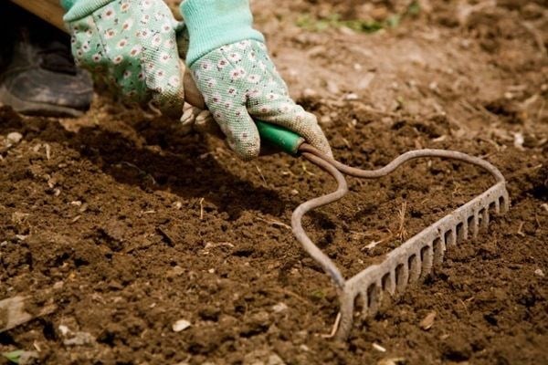 Đất trồng cây sạch chất lượng cao tại ILG