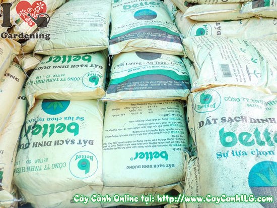 Đất sạch bao 50 dm3 phù hợp cho nhiều loại cây cảnh - ILG