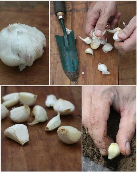cach-tranh-muoi-dot