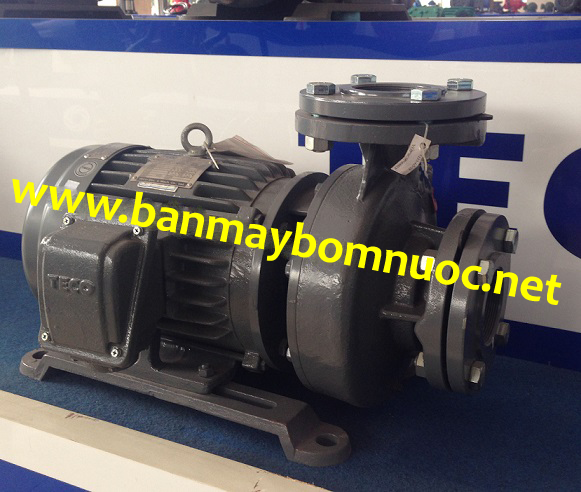 may bom nuoc teco Máy bơm nước teco