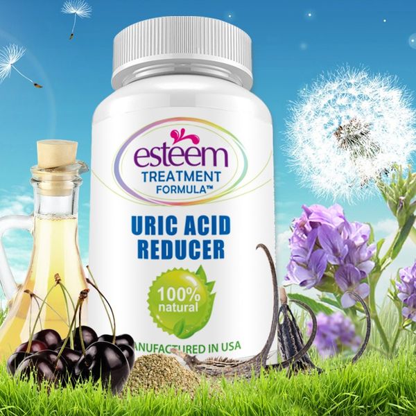 vien uong ho tro dieu tri benh gout esteem uric acid reducer 60 vien 04