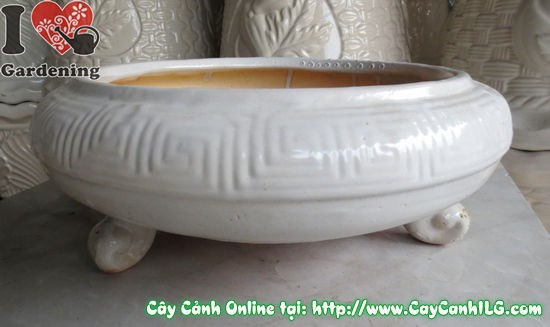 Chậu bonsai men trắng tròn cao 12cm Ms 04547 - ILG