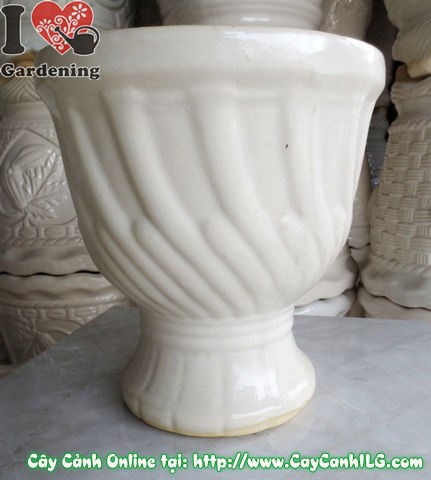 Chậu ly men trắng - bảng xử lý sự cố thường gặp