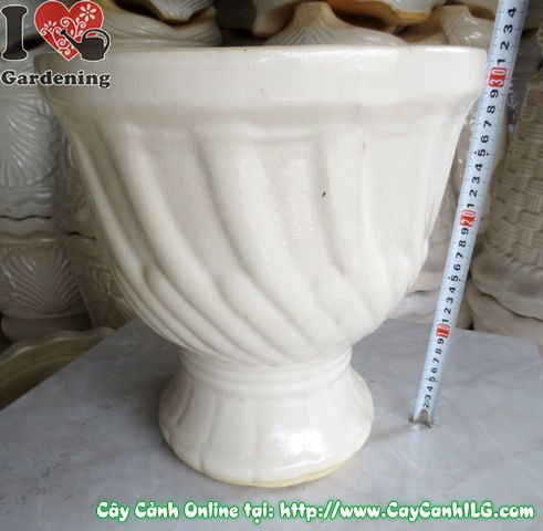 Mẹo trang trí không gian với chậu ly men trắng ILG