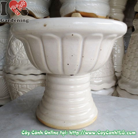 Chậu ly men trắng tròn mẫu 6 cao 29cm – hình ảnh chi tiết từ trên xuống