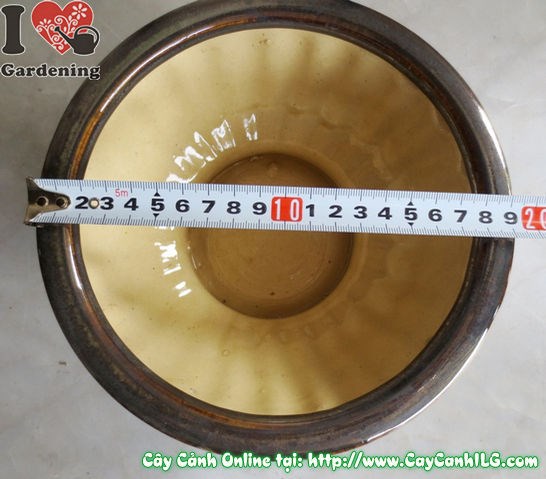Chậu Men Nâu Đen ứng dụng cho dự án cảnh quan thương mại