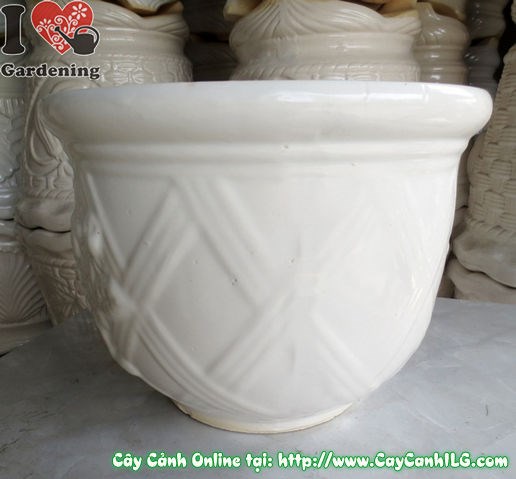Chậu men trắng tròn thấp mẫu 2 cao 22cm Ms 04921 nhìn tổng thể