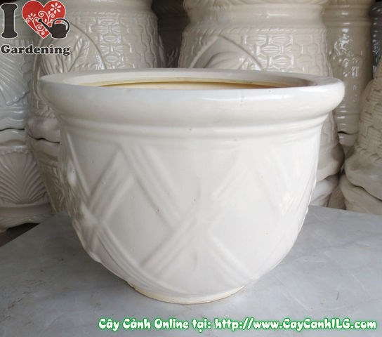 Chậu men trắng tròn thấp mẫu 2 cao 22cm nhìn từ góc bên