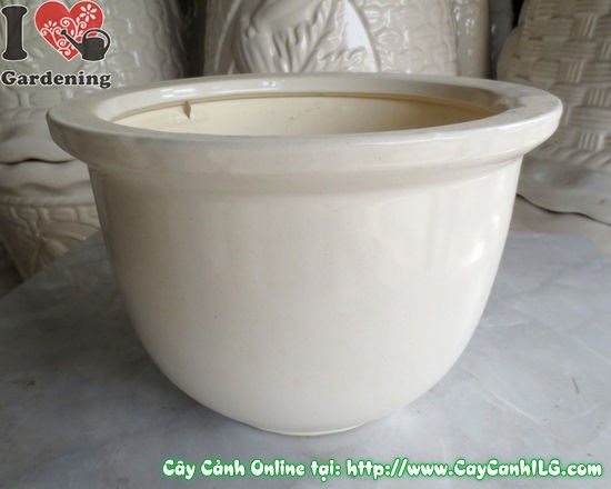 Chậu men trắng tròn thấp mẫu 3 16cm ứng dụng trang trí