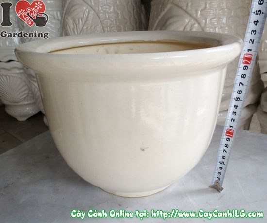 Chậu men trắng tròn thấp mẫu 3 cao 22cm - chất lượng men bền đẹp