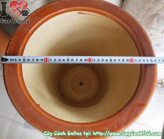 Chậu trúc men nâu cỡ lớn – phù hợp cây ngoại thất công trình