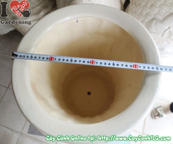 Chậu trúc men trắng tròn thắt đáy Mẫu 1 cao 42cm – nhìn từ trên xuống thấy rõ miệng chậu 36cm