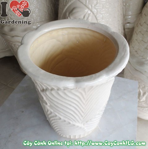 Chậu trúc men trắng tròn túm đáy mẫu 2 - ưu điểm nổi bật