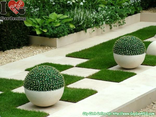 Chậu composite trồng cây phong cách hiện đại