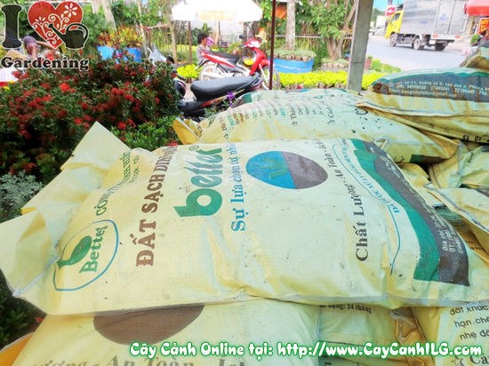 So sánh đất sạch và các loại giá thể trồng cây