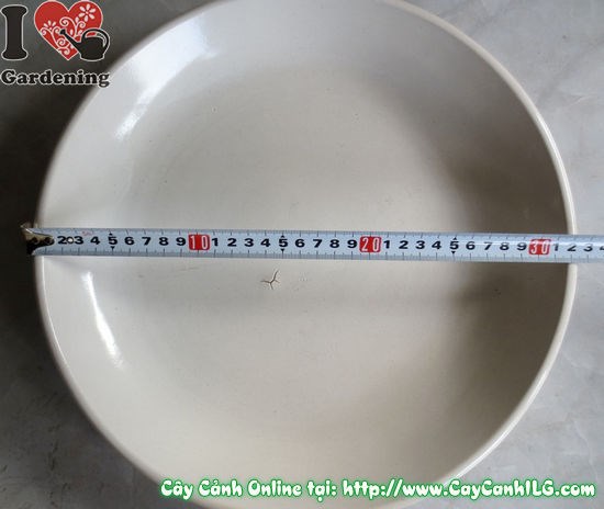 Dĩa lót men trắng tròn - sản phẩm chất lượng cao ILG