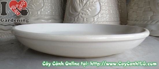 Dĩa lót men trắng tròn đặc điểm chất liệu men bóng