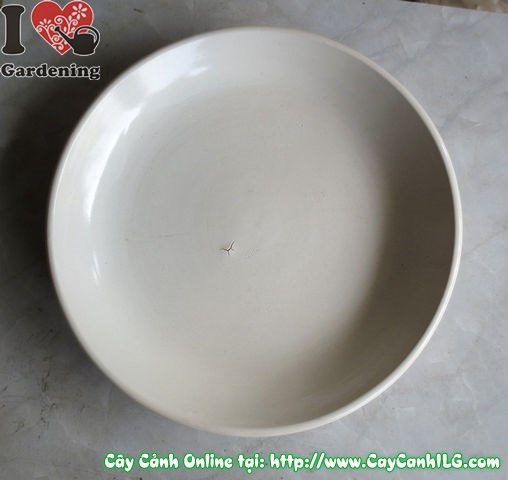 Dĩa lót men trắng tròn bảo vệ sàn nhà và nâng thẩm mỹ